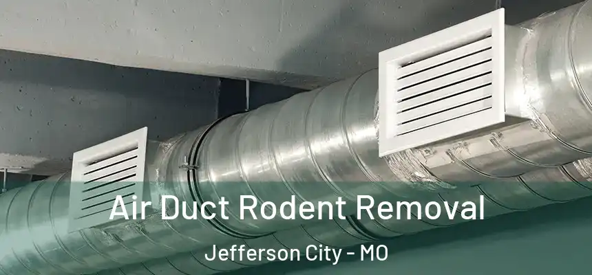 Air Duct Rodent Removal Jefferson City - MO