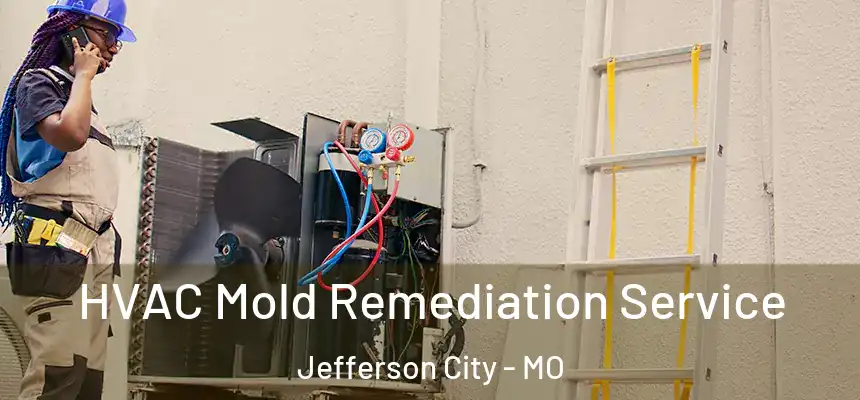  HVAC Mold Remediation Service Jefferson City - MO