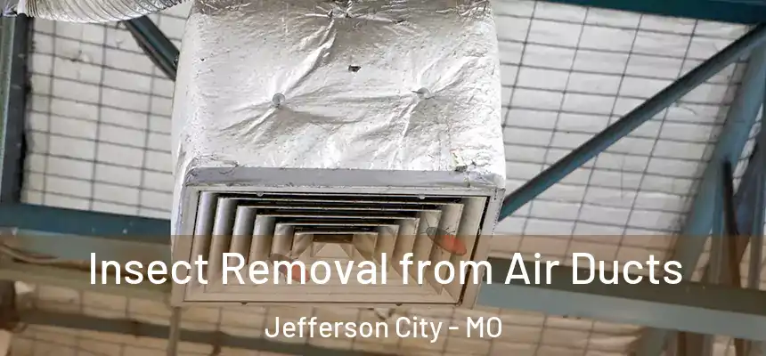 Insect Removal from Air Ducts Jefferson City - MO