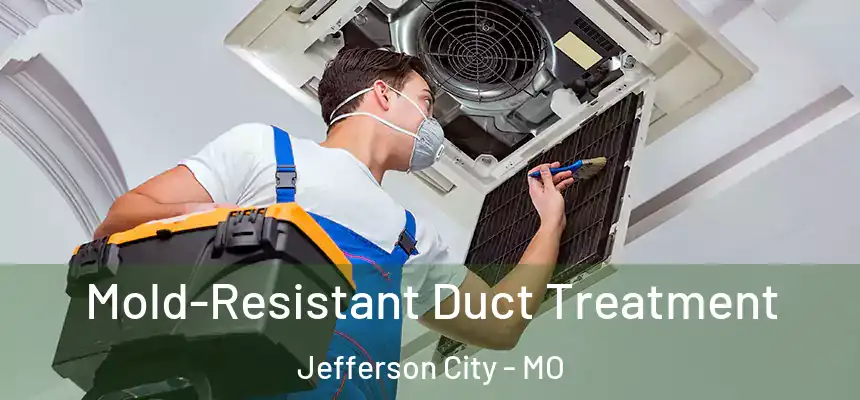  Mold-Resistant Duct Treatment Jefferson City - MO