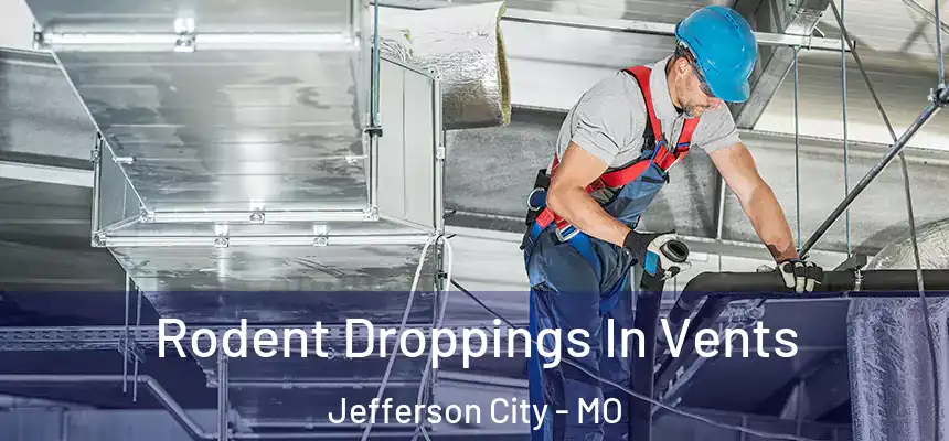  Rodent Droppings In Vents Jefferson City - MO