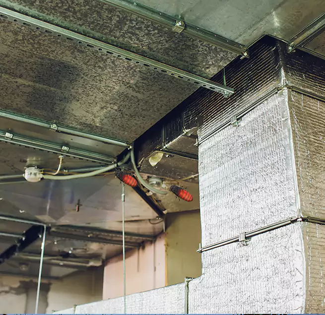 Why Homeowners & Businesses Trust Us in Jefferson City, MO?